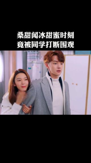 森系丛林